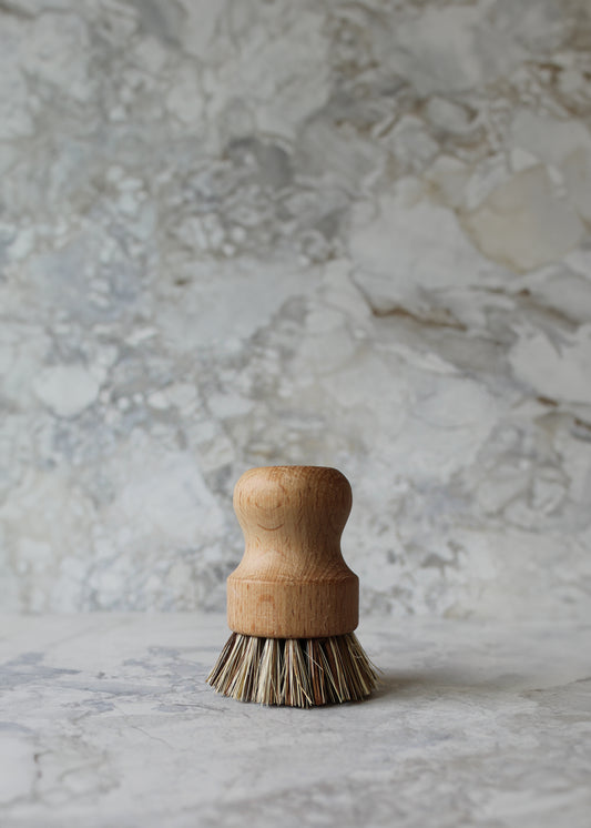 Compostable Pot Brush